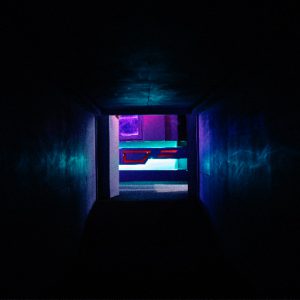 HOW TO ESCAPE WITH YOUR LIFE